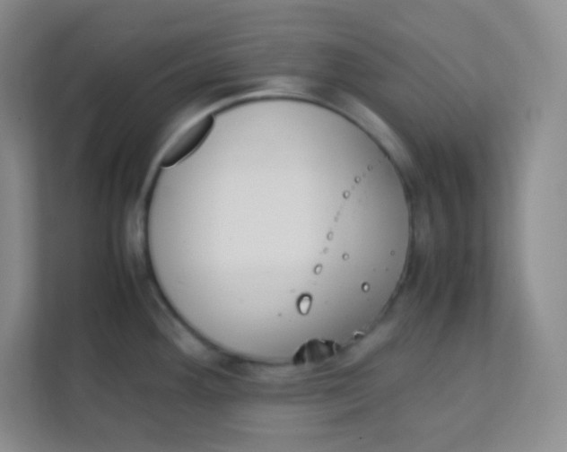 X0000111391292200907311106