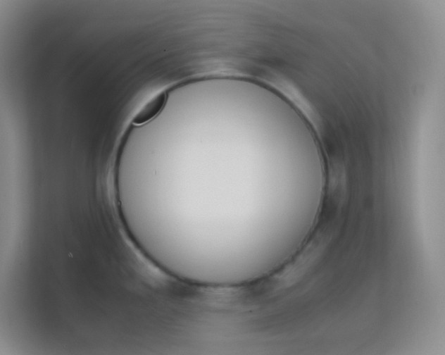 X0000111391293200907311106