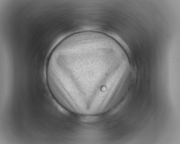 X0000111391294200907311106