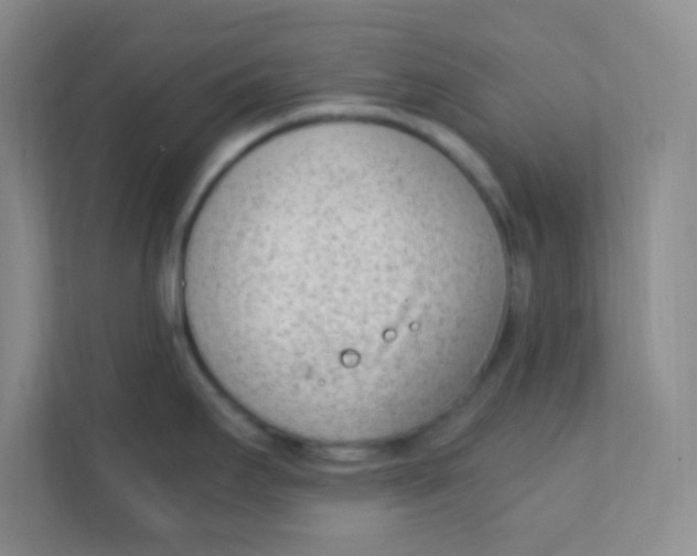 X0000111391295200907311106