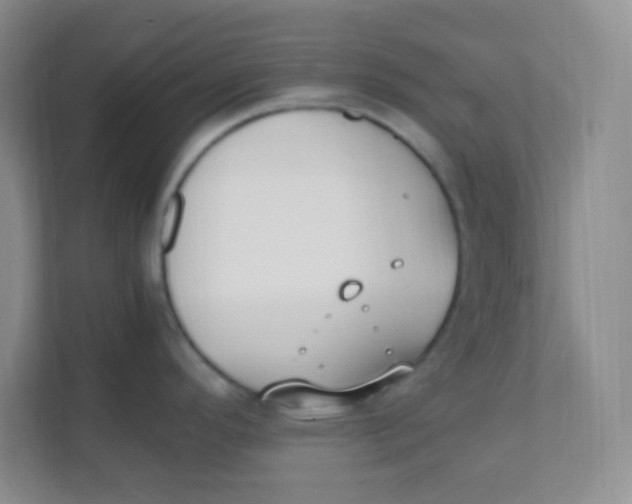 X0000111391296200907311106