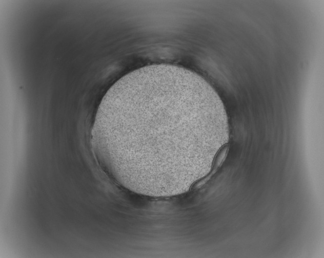 X0000111391297200907311105