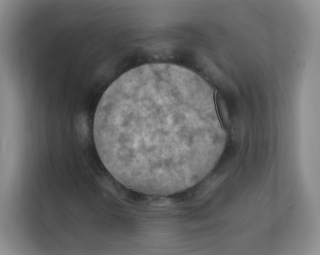 X0000111391298200907311105