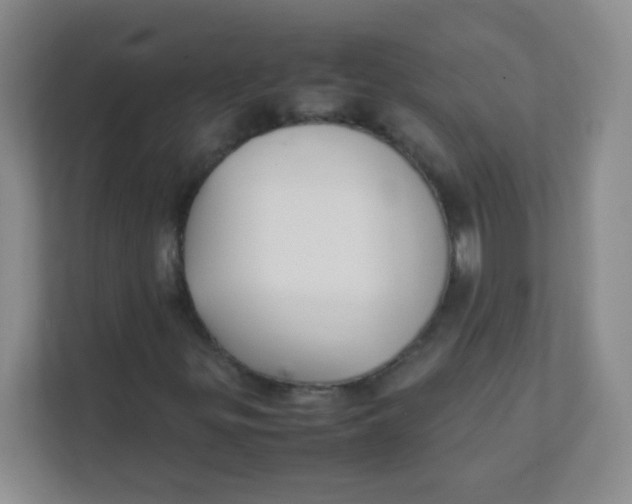 X0000111391299200907311105