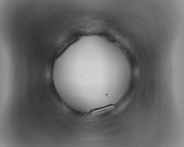 X0000111391300200907311105