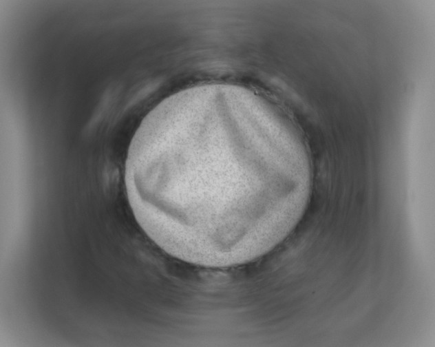 X0000111391302200907311105