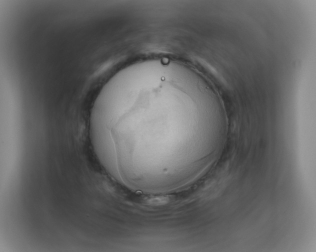 X0000111391303200907311105