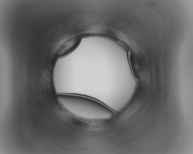 X0000111391304200907311105