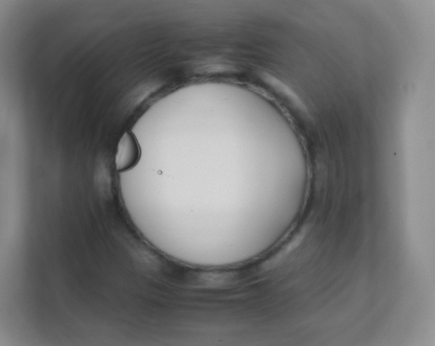 X0000111391305200907311105