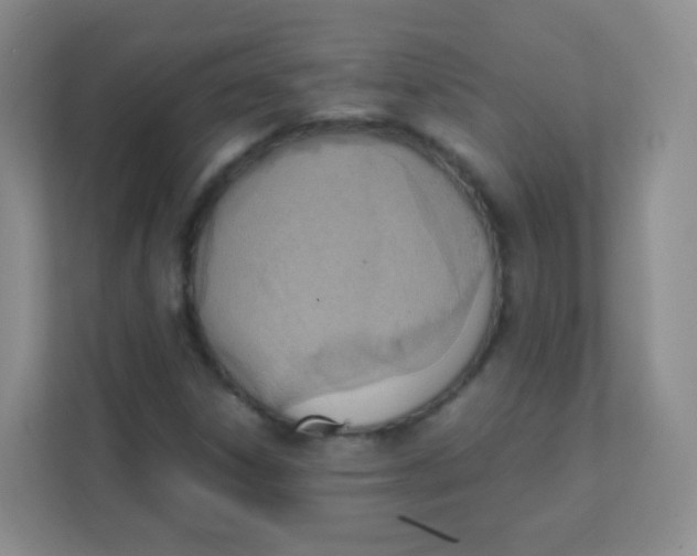 X0000111391306200907311105