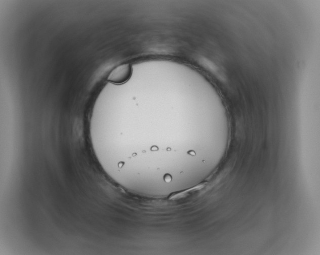 X0000111391307200907311105