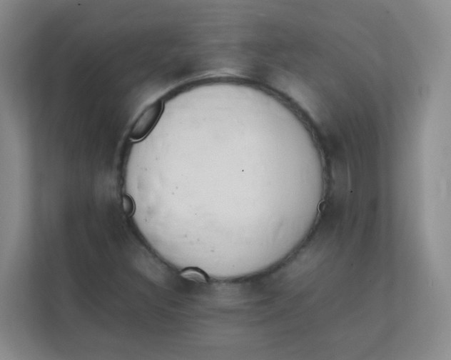 X0000111391308200907311105