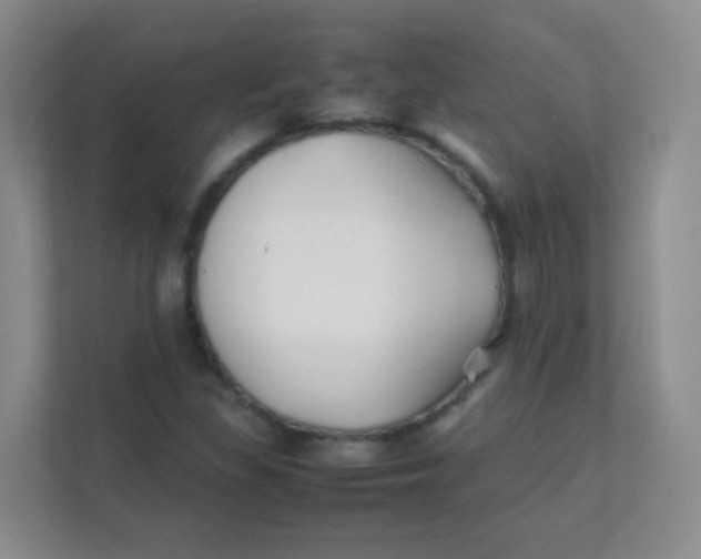 X0000111391309200907311105