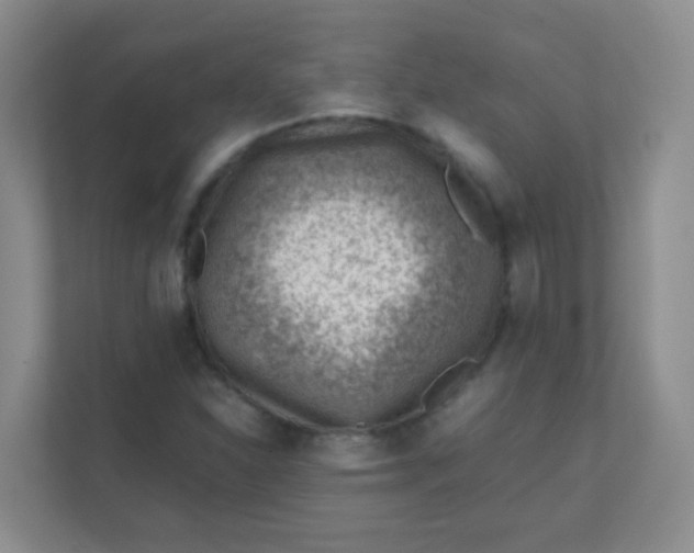 X0000111391310200907311105