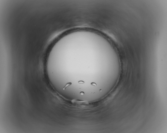 X0000111391311200907311105