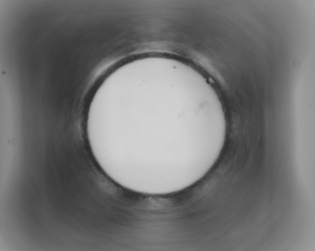 X0000111391312200907311105