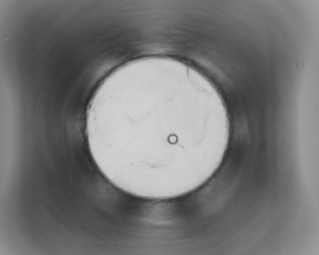 X0000111391314200907311106