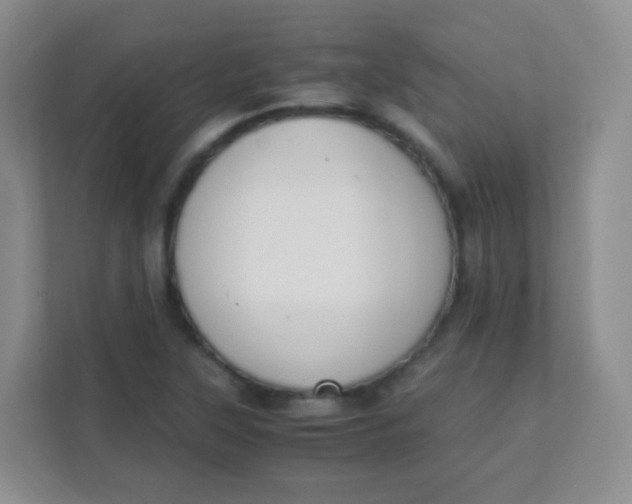 X0000111391315200907311106