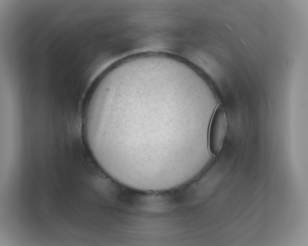 X0000111391316200907311106