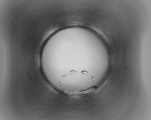 X0000111391317200907311106