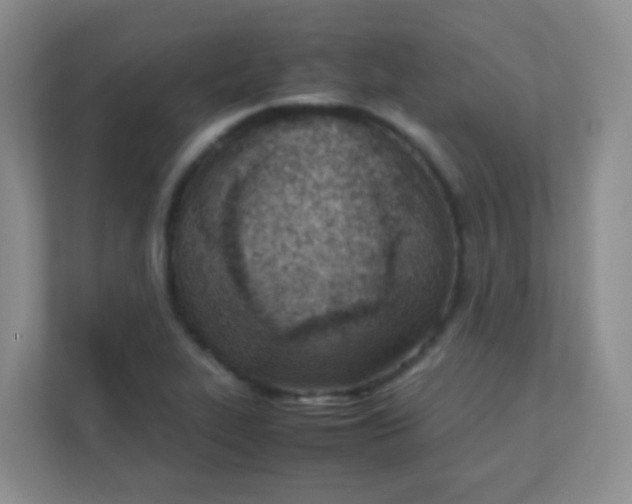 X0000111391319200907311106