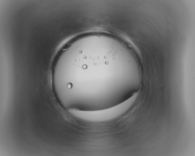 X0000111391320200907311106