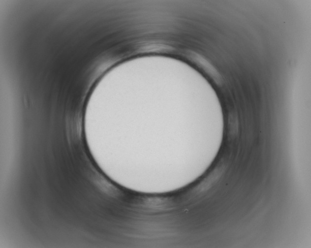 X0000111391322200907311106