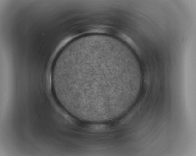 X0000111391323200907311106