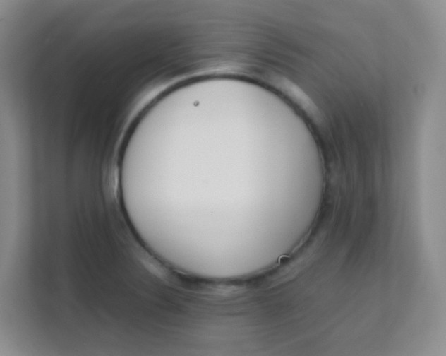 X0000111391324200907311106