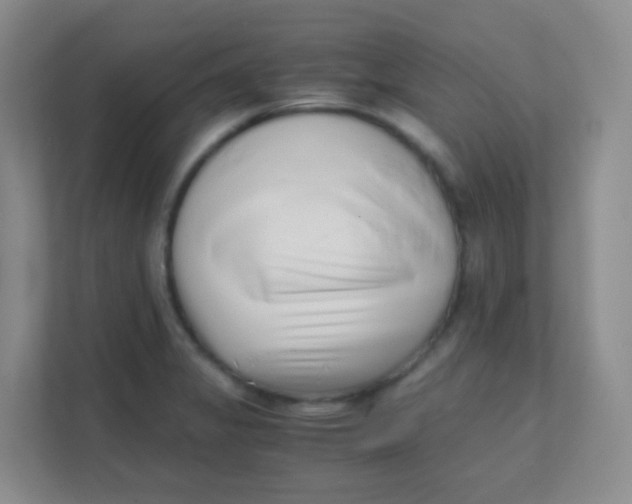 X0000111391325200907311106