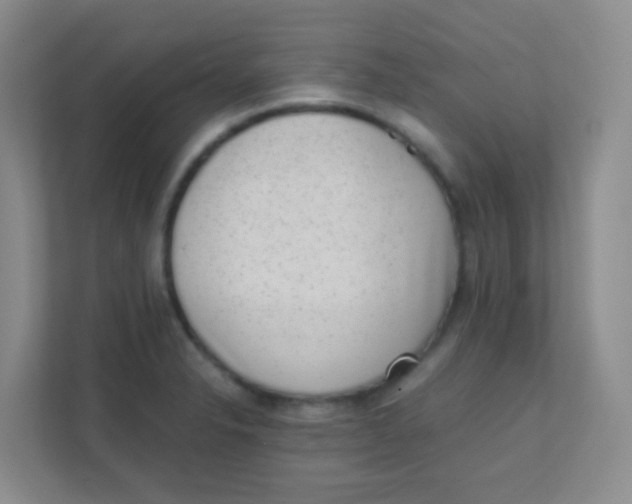 X0000111391326200907311106