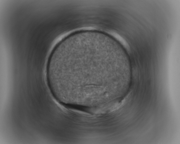 X0000111391327200907311106