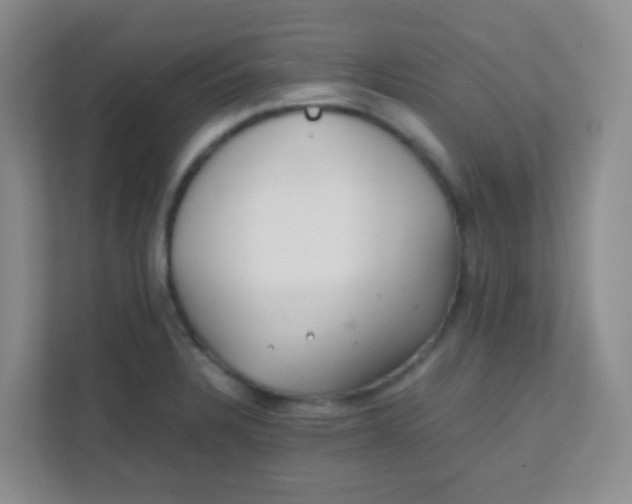 X0000111391328200907311106