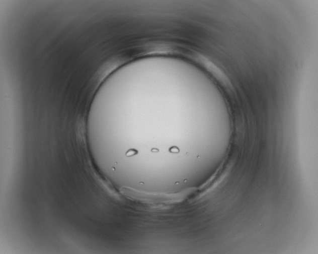 X0000111391329200907311106