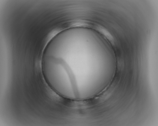 X0000111391330200907311106