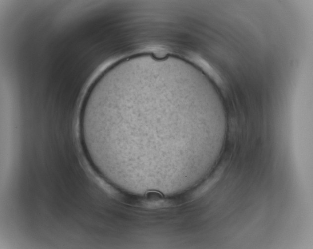 X0000111391331200907311106