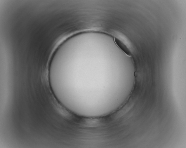 X0000111391332200907311106