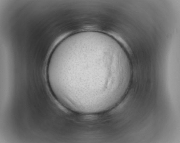 X0000111391333200907311106