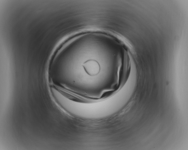 X0000111391334200907311106