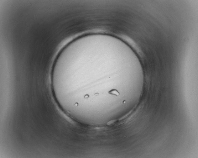 X0000111391335200907311106