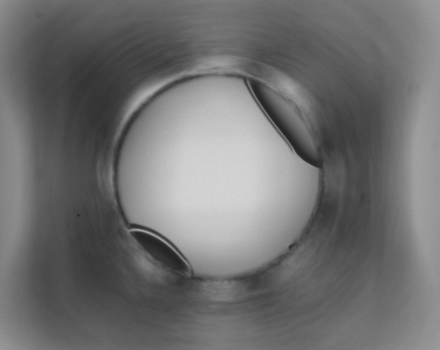 X0000111391336200907311106