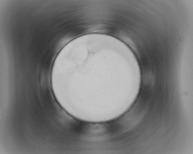 X0000111391338200907311106