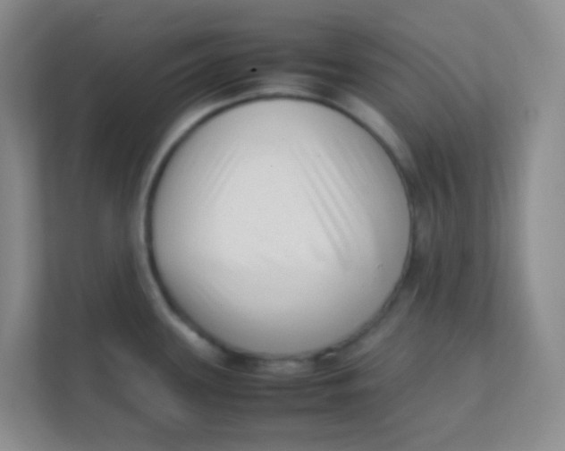 X0000111391339200907311106