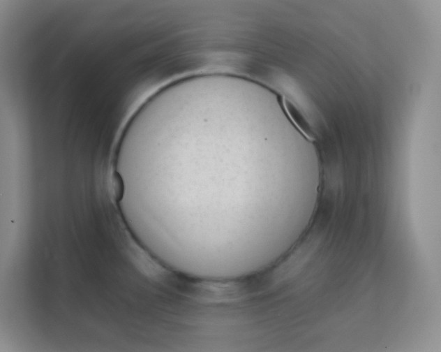 X0000111391340200907311106