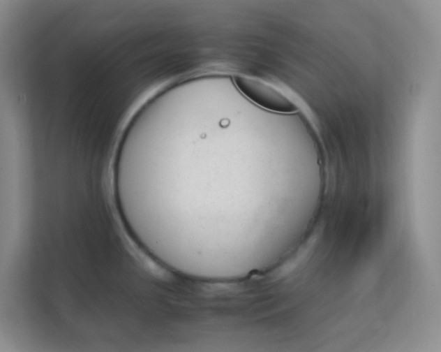 X0000111391341200907311106