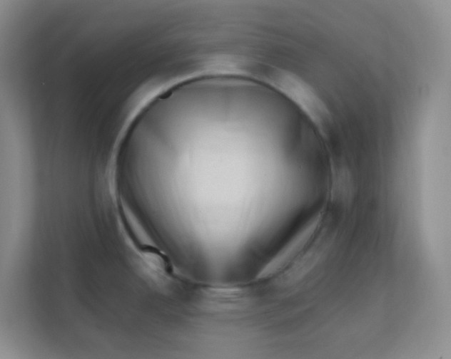 X0000111391342200907311106