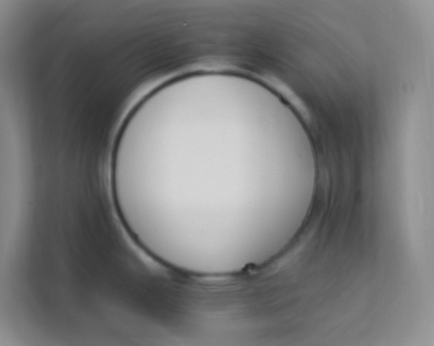 X0000111391343200907311106