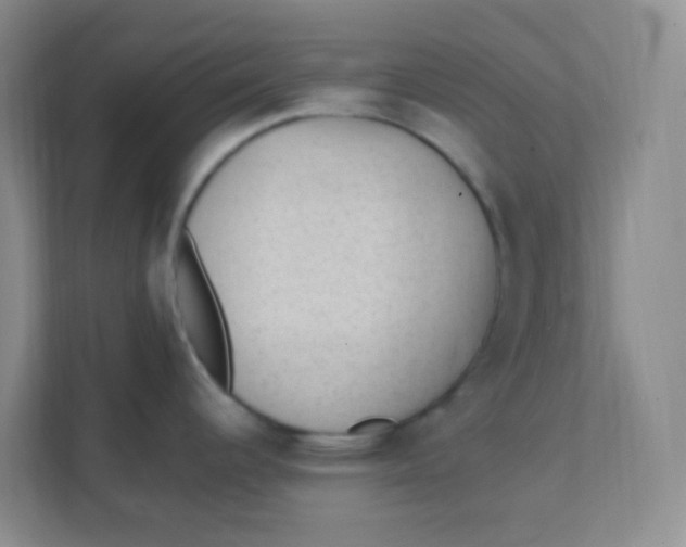 X0000111391344200907311106