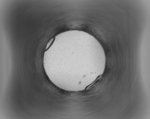 X0000111391345200907311105