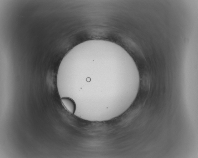 X0000111391346200907311105